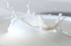 Separadores, Decantadores y centrífugas para la Industria láctea