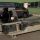 Chemmaster CF 4000 GEA Westfalia Separator Decantadores Bifásicos