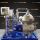 AFPX 810 XGV-17 Alfa Laval Centrífugas de discos - El original puede diferir en determinadas circunstancias.