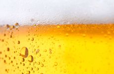 Separadores y decantadores para la producción de cerveza