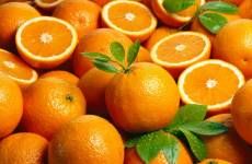 Separadores, Decantadores y Centrífugas para zumos de frutas y verduras