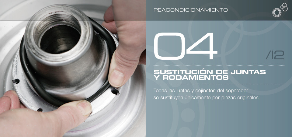 Sustitución de juntas y rodamientos